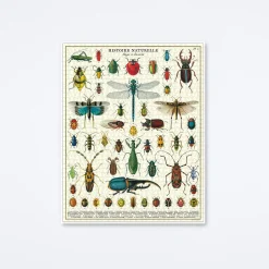 Bugs & Insects Puzzle