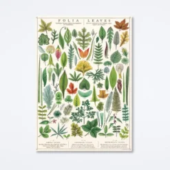 Folia Leaves Wrap