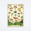 Forage Wrap