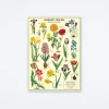 Garden Bulbs Wrap