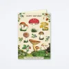 Happy Birthday Mushroom Card